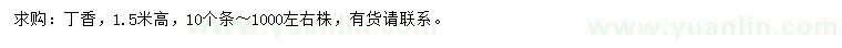 求購高1.5米丁香