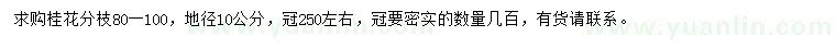 求購地徑10公分桂花