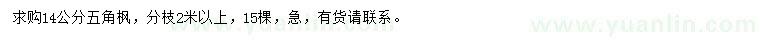 求購14公分五角楓