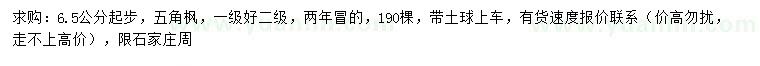 求購6.5公分以上五角楓
