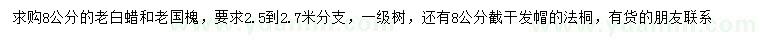 求購老白蠟、老國槐、法桐