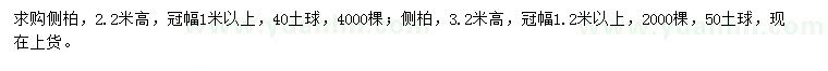 求購(gòu)高2.2、3.2米側(cè)柏