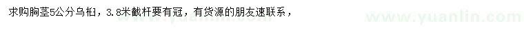 求購(gòu)胸徑5公分烏桕