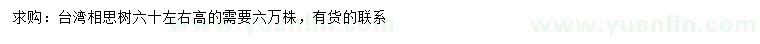 求購(gòu)高60公分臺(tái)灣相思樹