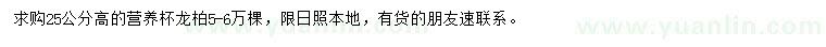 求購高25公分龍柏