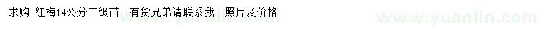 求購14公分紅梅