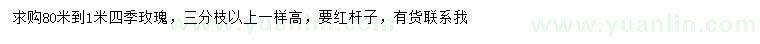 求購0.8-1米四季玫瑰