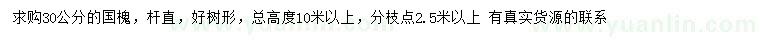 求購30公分國槐