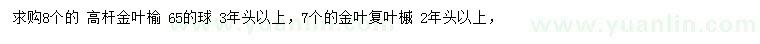 求購(gòu)8公分高桿金葉榆、7公分金葉復(fù)葉槭