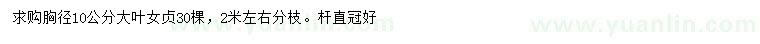 求購胸徑10公分大葉女貞