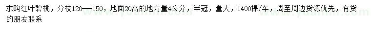 求購(gòu)20量4公分紅葉碧桃