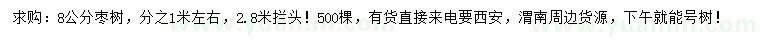 求購8公分棗樹