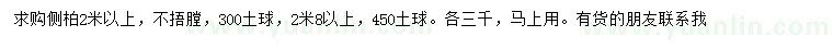 求購(gòu)2米以上側(cè)柏