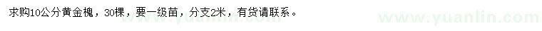 求購10公分黃金槐