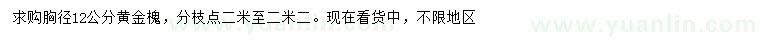 求購胸徑12公分黃金槐