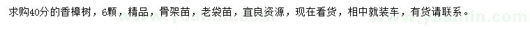 求購(gòu)40公分香樟樹(shù)