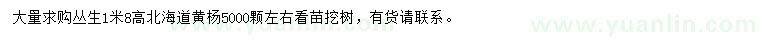求購高1.8米北海道黃楊