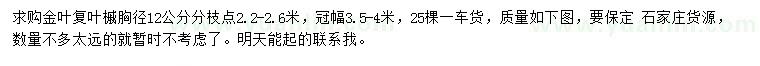 求購胸徑12公分金葉復(fù)葉槭