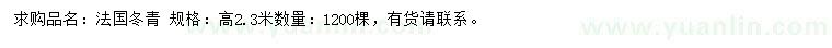 求購高2.3米法國冬青