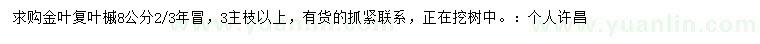 求購8公分金葉復葉槭