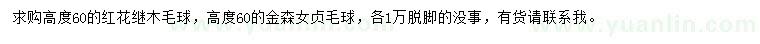 求購高60公分紅花繼木毛球、金森女貞毛球