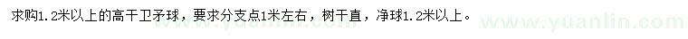 求購1.2米以上衛(wèi)矛球