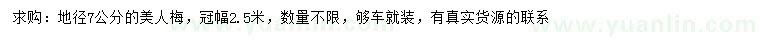 求購地徑7公分美人梅