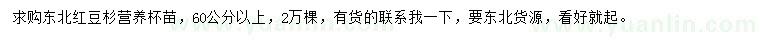 求購60公分以上東北紅豆杉