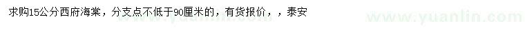 求購15公分西府海棠