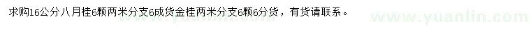 求購16公分八月桂