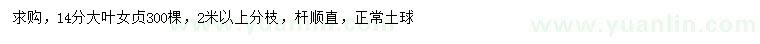求購14公分大葉女貞