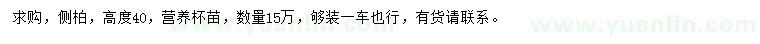 求購高40公分側(cè)柏