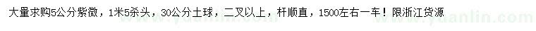 求購5公分紫微