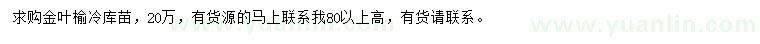 求購金葉榆