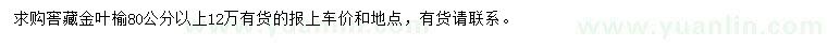 求購80公分以上金葉榆
