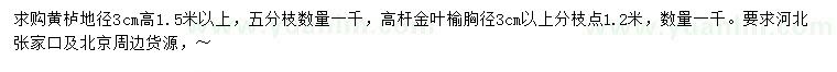 求購地徑3公分黃櫨、胸徑3公分以上金葉榆
