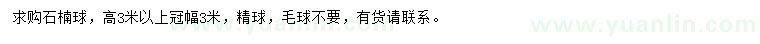 求購冠幅3米石楠球