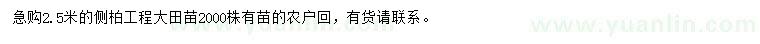 求購2.5米側柏