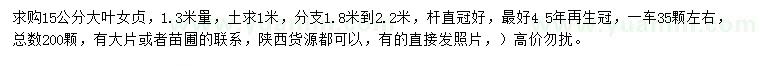 求購(gòu)15公分大葉女貞
