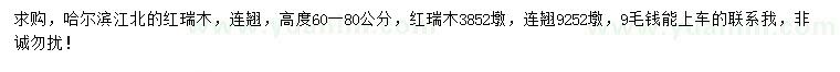 求購高60-80公分紅瑞木、連翹
