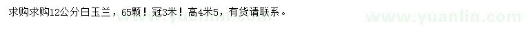 求購(gòu)12公分白玉蘭