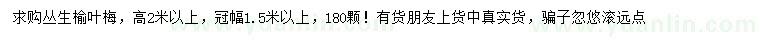 求購(gòu)冠幅1.5米以上叢生榆葉梅