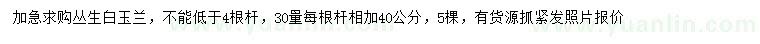 求購4桿以上叢生白玉蘭