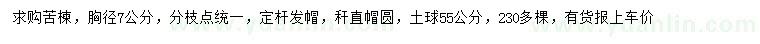 求購胸徑7公分苦楝
