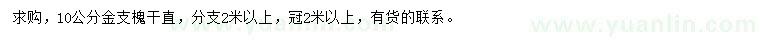 求購10公分金枝槐