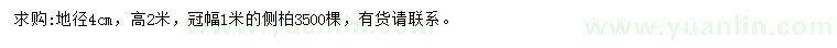 求購地徑4公分側(cè)柏