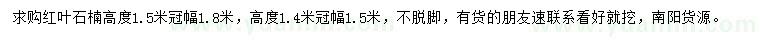 求購冠幅1.5、1.8米紅葉石楠