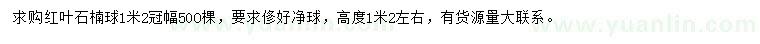 求購冠幅1.2米紅葉石楠球