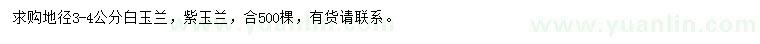求購地徑3-4公分白玉蘭、紫玉蘭