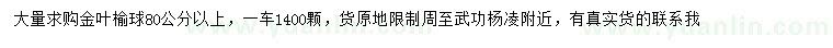 求購(gòu)80公分以上金葉榆球